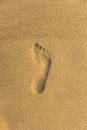 Imprint of the bare right foot on the yellow sand