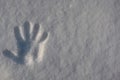 The imprint of children`s hands on the white snow