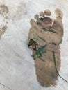 Imprint of children`s wet feet on plywood