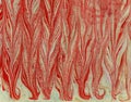 Imprint ebru texture on paper red tails