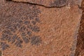 Imprint of fern leaf on rock. Stone texture. Archaeological background