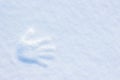 Imprint hand palm  in the snow. Copy space_ Royalty Free Stock Photo