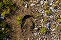 Imprint horseshoe on the ground