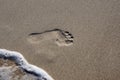 Imprint of human feet in the sand Royalty Free Stock Photo