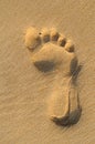 Imprint of human feet on sandy beach Royalty Free Stock Photo