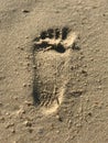 Imprint of human feet on a sandy beach Royalty Free Stock Photo