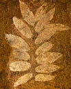 The Imprint leaf Royalty Free Stock Photo