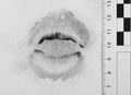 Imprint lips.