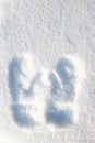 Imprint of mittens on white fluffy snow. in sunny weather in sunny weather . fresh snow background. high angle view of