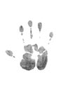 The imprint of the palm of the hand on a white background.