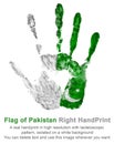 The imprint of the right hand in the colors of the flag of Pakistan. Real handprint gouache green and white.