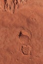 Imprint of the shoe on red stone sand Royalty Free Stock Photo