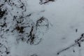 Imprint of the shoe in snow copy space. Lone footprint in garden. Winter Weather Abstract background.Foot mark on the trail.Traces