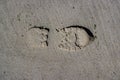 Imprint of the sole of a shoe in the wet brown sand of the beach Royalty Free Stock Photo