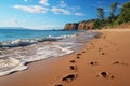 Imprints in sand, footprints etched on ocean beach, tales of fleeting footsteps
