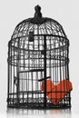 Imprisoned Heart Royalty Free Stock Photo