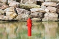 An improbable hydrant at the seaside. Plenty of water concept image