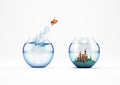 Improvement and progress concept with a jump of goldfish 3D Rendering Royalty Free Stock Photo