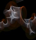 Orange-yellow-white curled line - ribbon painted by light on the black background. Improvisational painting by light. Royalty Free Stock Photo