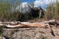 Improvised fisherman shelter half hidden in vegetation on river bank, made of driftwood and blue plastic foil Royalty Free Stock Photo