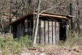 Improvised wooden backyard tool shed made from cracked boards at abandoned construction site surrounded with tall trees and dense