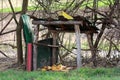 Improvised wooden structure with roof used to store food for wildlife in form of hay and corn surrounded with branches and uncut Royalty Free Stock Photo