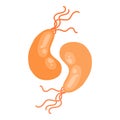 Imune cell flu bacteria virus icon, cartoon style