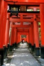 Inari torii gates - Kyoto - Japan Royalty Free Stock Photo