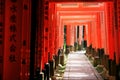 Inari torii gates - Kyoto - Japan