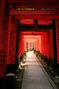 Inari torii gates - Kyoto - Japan
