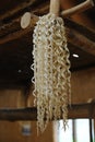 Sacred inau or inaw a wooden ritual wood-shaving stick used by Ainu people for prayers in Hokkaido, Japan and Sakhalin Royalty Free Stock Photo