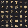 Inborn icons set, simple style Royalty Free Stock Photo