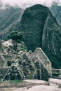 Inca architecture detail and the nature. Royalty Free Stock Photo
