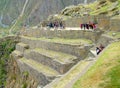 Inca ruin terraces in Ollantaytambo, Sacred valley of Cusco, Peru Royalty Free Stock Photo