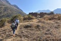 The Inca Ruins of Pumamarca, near the town of Ollantaytambo, Cusco, Peru