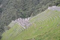 Inca ruins at Winay Wayna on the Inca Trail to Machu Picchu, Peru