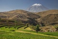 Inca's garden and active volcano Misti