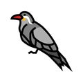 inca tern bird exotic color icon vector illustration