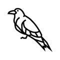 inca tern bird exotic line icon vector illustration