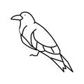 inca tern bird exotic line icon vector illustration