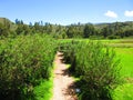 Olde Village Inca Trails, Country side of Peru. Royalty Free Stock Photo