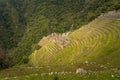 Inca Trail, Peru - August 03, 2017: Ancient ruins of Winay Wayna on the Inca Trail, Peru Royalty Free Stock Photo