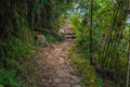 Inca Trail, Peru - August 03, 2017: Wild landscape of the Inca T Royalty Free Stock Photo