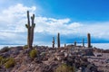 Incahuasi island in Salar de Uyuni in Bolivia Royalty Free Stock Photo