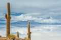 Incahuasi island, Salar de Uyuni, Bolivia Royalty Free Stock Photo