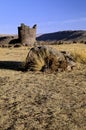 Incan ruins- Peru Royalty Free Stock Photo