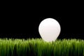 Incandescent bulb on green grass