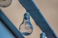 Incandescent bulbs suspended on wire. Royalty Free Stock Photo