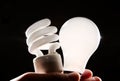 Incandescent and cfl lightbulb on black Royalty Free Stock Photo