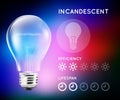 Incandescent halogen light bulb infographic with approximate estimate of energy and efficiency.